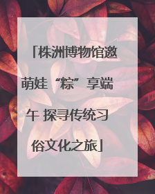 株洲博物馆邀萌娃“粽”享端午 探寻传统习俗文化之旅