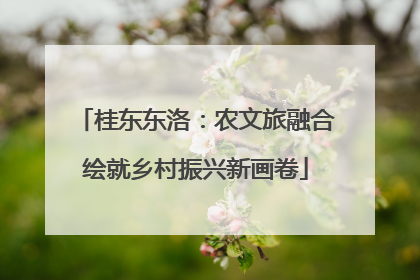 桂东东洛：农文旅融合绘就乡村振兴新画卷