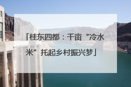 桂东四都：千亩“冷水米”托起乡村振兴梦
