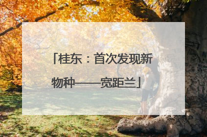 桂东：首次发现新物种——宽距兰