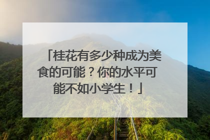 桂花有多少种成为美食的可能？你的水平可能不如小学生！