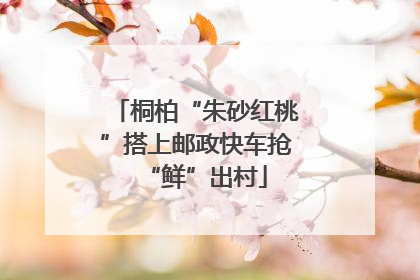 桐柏“朱砂红桃”搭上邮政快车抢“鲜”出村