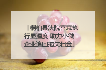 桐柏县法院善意执行显温度 助力小微企业追回拖欠租金