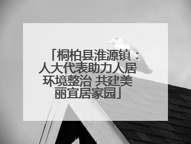 桐柏县淮源镇：人大代表助力人居环境整治 共建美丽宜居家园