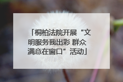 桐柏法院开展“文明服务我出彩 群众满意在窗口”活动