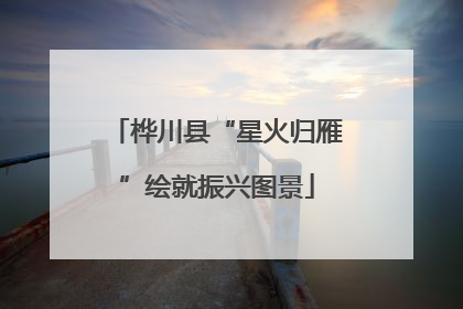 桦川县“星火归雁”绘就振兴图景