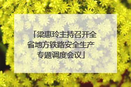梁惠玲主持召开全省地方铁路安全生产专题调度会议