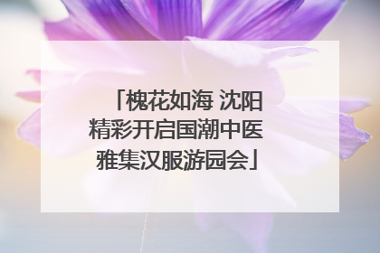 槐花如海 沈阳精彩开启国潮中医雅集汉服游园会