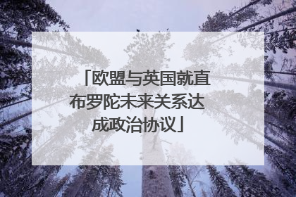 欧盟与英国就直布罗陀未来关系达成政治协议