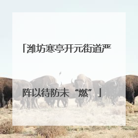 潍坊寒亭开元街道严阵以待防未“燃”