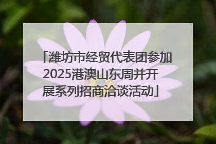 潍坊市经贸代表团参加2025港澳山东周并开展系列招商洽谈活动