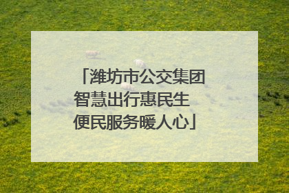 潍坊市公交集团智慧出行惠民生 便民服务暖人心