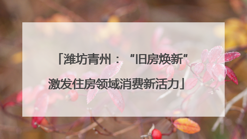 潍坊青州：“旧房焕新”激发住房领域消费新活力