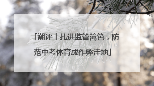 潮评丨扎进监管篱笆，防范中考体育成作弊洼地