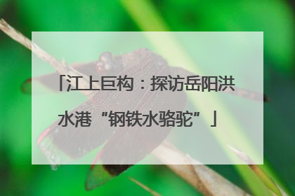 江上巨构：探访岳阳洪水港“钢铁水骆驼”