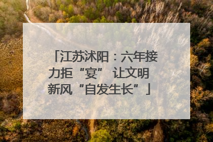 江苏沭阳：六年接力拒“宴” 让文明新风“自发生长”