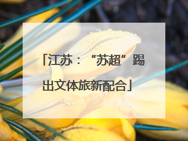 江苏：“苏超”踢出文体旅新配合