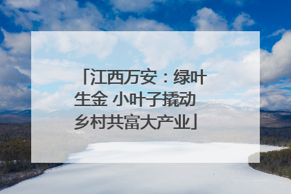 江西万安：绿叶生金 小叶子撬动乡村共富大产业