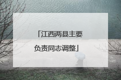 江西两县主要负责同志调整