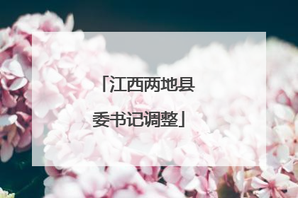江西两地县委书记调整