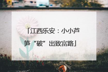 江西乐安：小小芦笋“破”出致富路