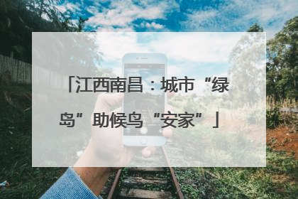 江西南昌：城市“绿岛”助候鸟“安家”