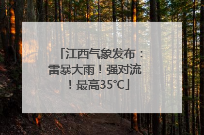 江西气象发布：雷暴大雨！强对流！最高35℃