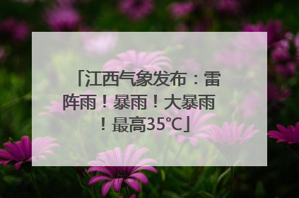 江西气象发布：雷阵雨！暴雨！大暴雨！最高35℃