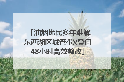 油烟扰民多年难解 东西湖区城管4次登门48小时高效整改