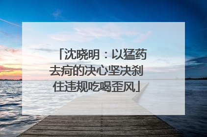 沈晓明：以猛药去疴的决心坚决刹住违规吃喝歪风