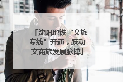 沈阳地铁“文旅专线”开通，跃动文商旅发展脉搏