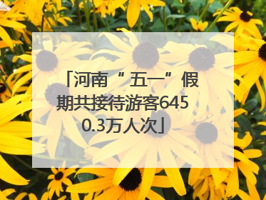 河南“ 五一”假期共接待游客6450.3万人次