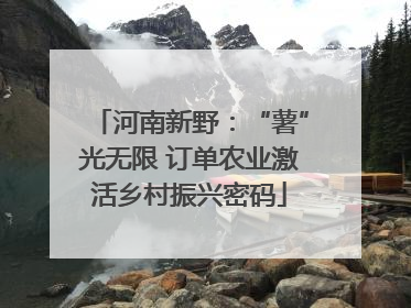 河南新野：“薯”光无限 订单农业激活乡村振兴密码