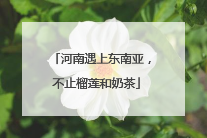河南遇上东南亚，不止榴莲和奶茶