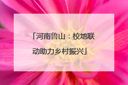 河南鲁山：校地联动助力乡村振兴