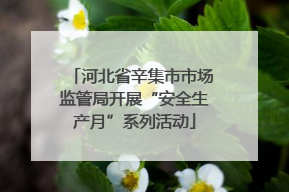 河北省辛集市市场监管局开展“安全生产月”系列活动