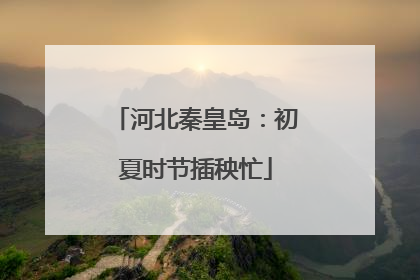 河北秦皇岛：初夏时节插秧忙