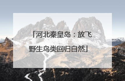 河北秦皇岛：放飞野生鸟类回归自然