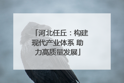 河北任丘：构建现代产业体系 助力高质量发展