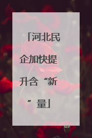 河北民企加快提升含“新”量