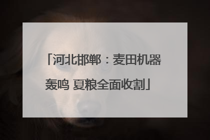 河北邯郸：麦田机器轰鸣 夏粮全面收割