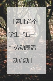 河北首个学生“五一”劳动周活动启动