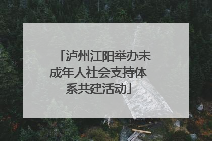 泸州江阳举办未成年人社会支持体系共建活动