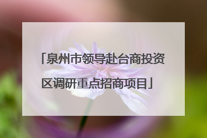 泉州市领导赴台商投资区调研重点招商项目