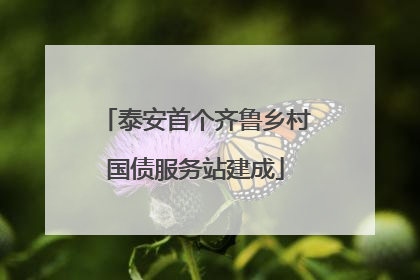 泰安首个齐鲁乡村国债服务站建成