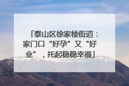 泰山区徐家楼街道：家门口“好孕”又“好业”，托起稳稳幸福