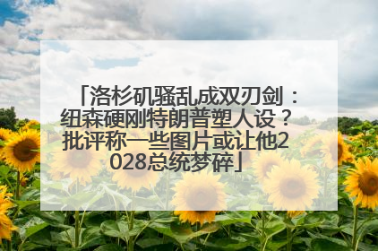 洛杉矶骚乱成双刃剑：纽森硬刚特朗普塑人设？批评称一些图片或让他2028总统梦碎