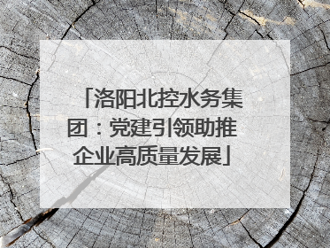 洛阳北控水务集团：党建引领助推企业高质量发展