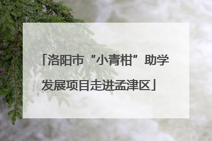 洛阳市“小青柑”助学发展项目走进孟津区