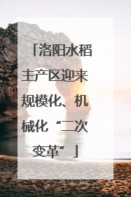 洛阳水稻主产区迎来规模化、机械化“二次变革”